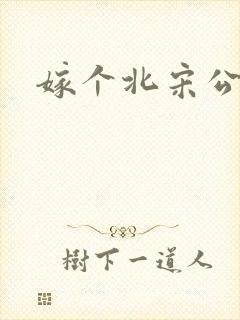 嫁个北宋公务员