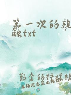 第一次的亲密接触txt