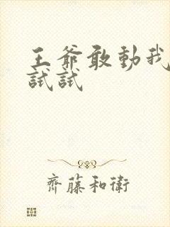 王爷敢动我妈咪试试