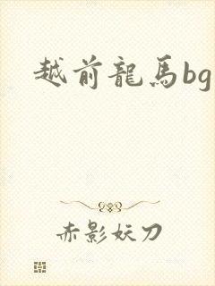 越前龙马bg