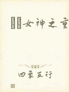 鹡鸰女神之重生