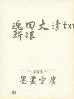 魂回大清txt新浪