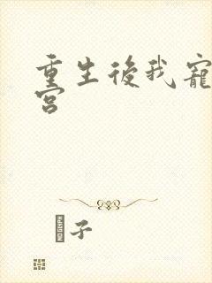 重生后我宠冠东宫