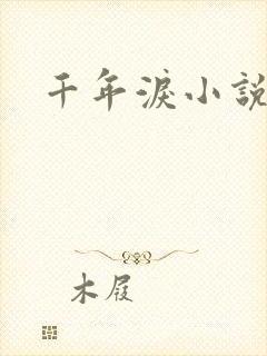 千年泪小说