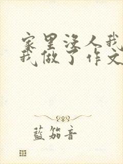 家里没人我哥把我做了作文