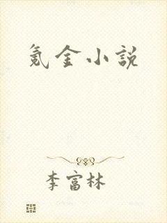 氪金小说