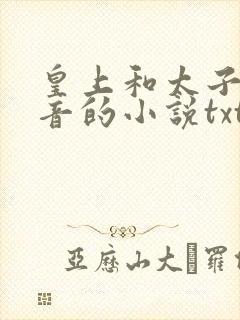 皇上和太子妃沈音的小说txt