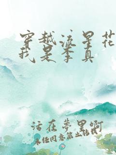 穿越流星花园之我是李真