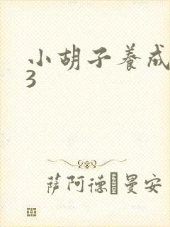 小胡子养成计划3