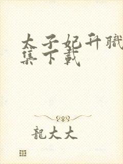 太子妃升职记全集下载