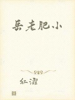 岳老肥小