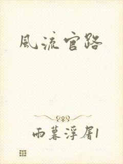 风流官路