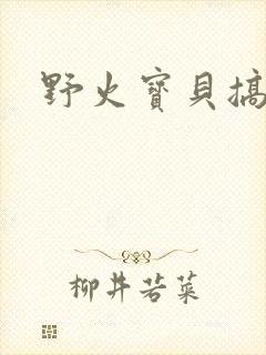 野火宝贝搞定你