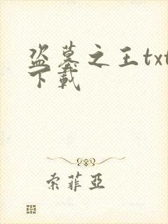 盗墓之王txt下载