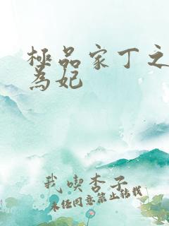 极品家丁之册母为妃