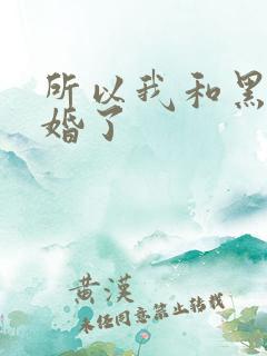 所以我和黑粉结婚了