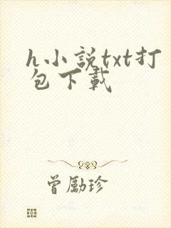 h小说txt打包下载