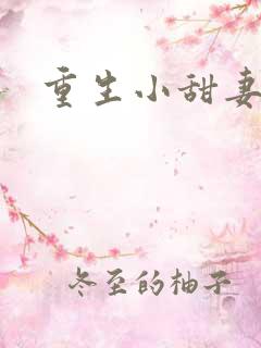 重生小甜妻