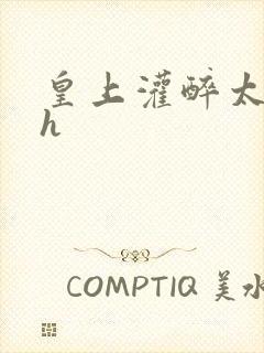 皇上灌醉太子妃h