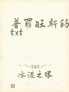 普罗旺斯的一年txt