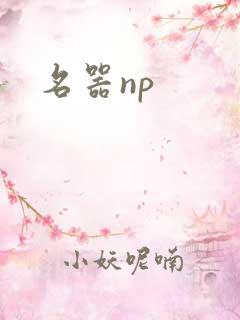 名器np