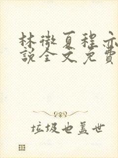 林微夏程亦风小说全文免费