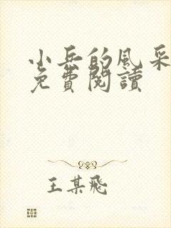 小兵的风采小说免费阅读