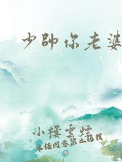少帅你老婆