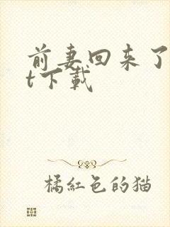 前妻回来了txt下载