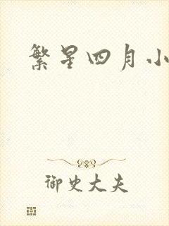 繁星四月小说