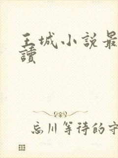 王城小说最近阅读