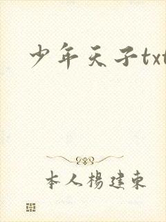 少年天子txt