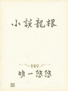 小说龙根