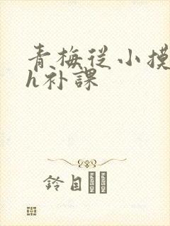 青梅从小摸到大h补课