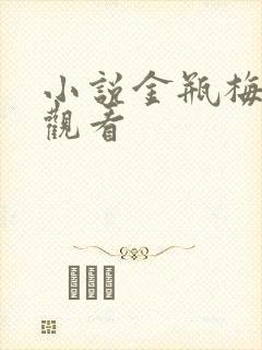 小说金瓶梅在线观看