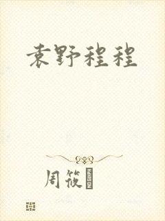 袁野程程