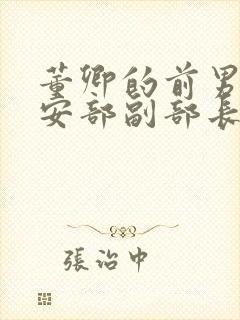 董卿的前男友公安部副部长