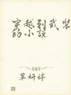 穿越到武装少女的小说