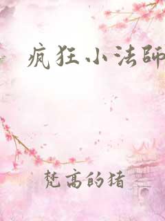 疯狂小法师