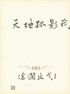 天地孤影我独行
