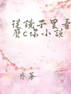 从镜子里看我怎么c你小说