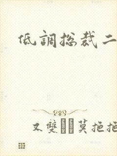 低调总裁二手妻