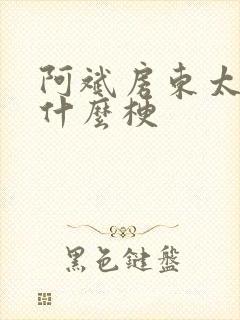 阿斌房东太太是什么梗