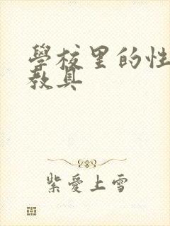 学校里的性教学教具