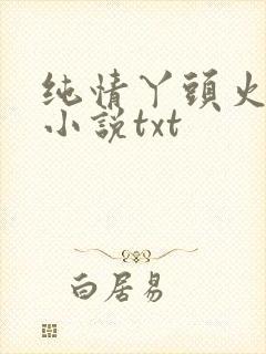 纯情丫头火辣辣小说txt