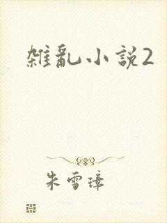 杂乱小说2