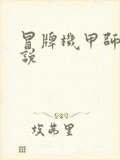 冒牌机甲师 小说