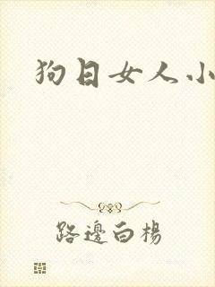 狗日女人小说