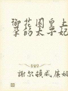 御花园皇上C有孕的太子妃