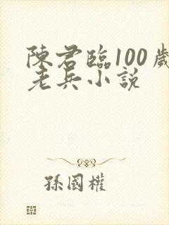 陈君临100岁老兵小说